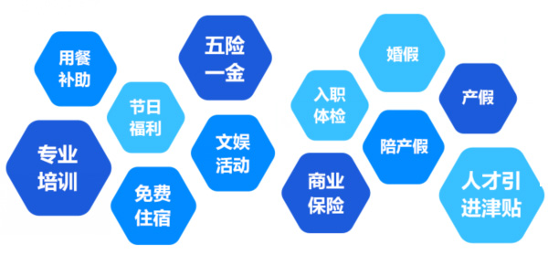 提供全面、系統(tǒng)、專業(yè)的培訓和廣闊的<br>職業(yè)發(fā)展空間和提升機會